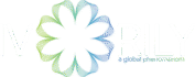 ivorily.com